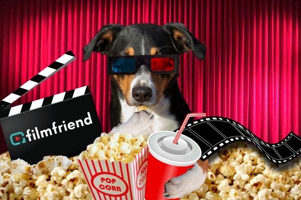 Ein Hund mit 3D-Brille im Kino